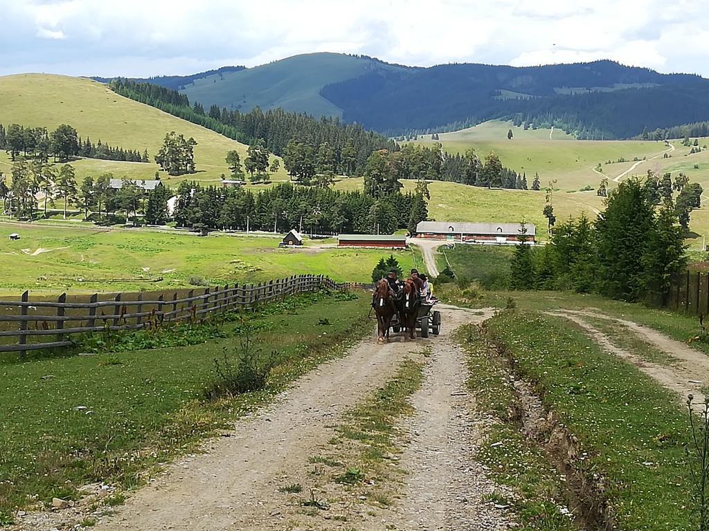 Pensiunea Catalina Moldova Sulita Exteriér fotografie