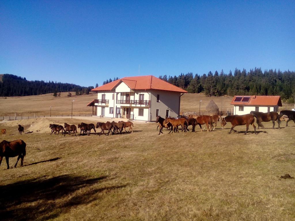 Pensiunea Catalina Moldova Sulita Exteriér fotografie