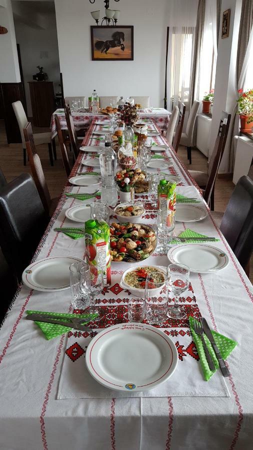 Pensiunea Catalina Moldova Sulita Exteriér fotografie